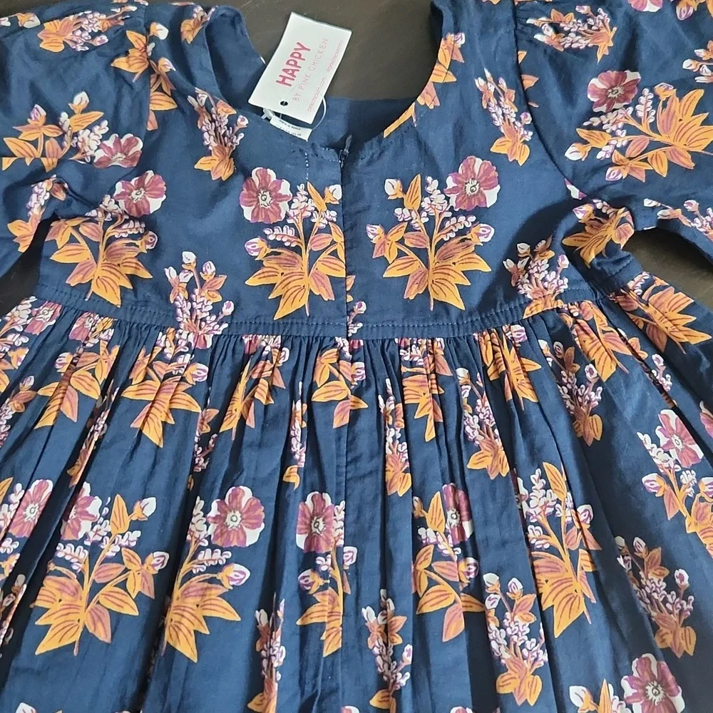 Pink Chicken Blue Floral Casual Dress